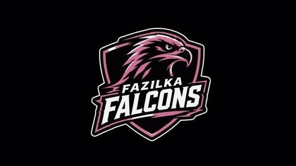 Fazilka Falcons 
